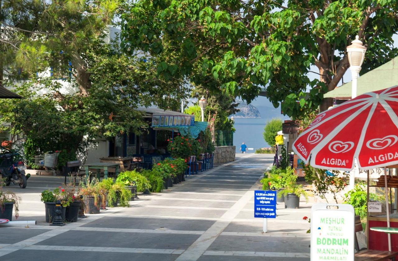 Bodrum Infinity Turgutreis Εξωτερικό φωτογραφία